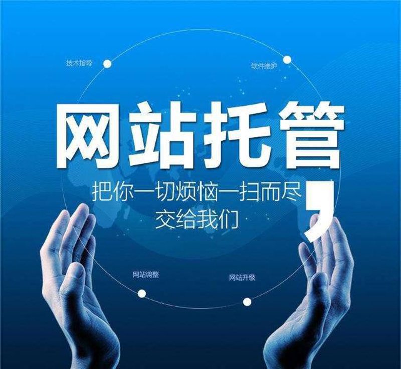 站群程序出售的底层逻辑：从批量部署到算法治理的技术跃迁
